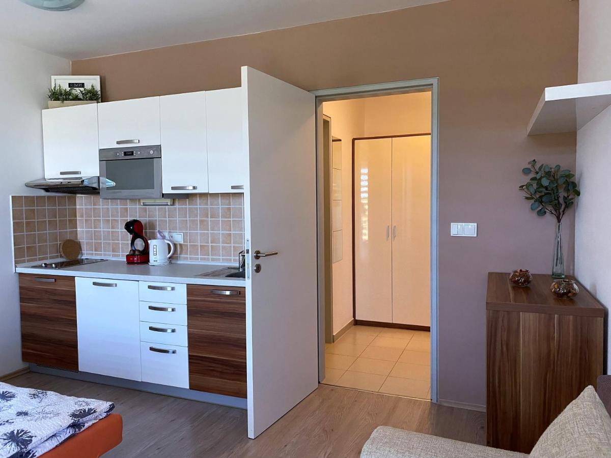 Loučná pod Klínovcem Miky Apartman Klinovec Meadow מראה חיצוני תמונה