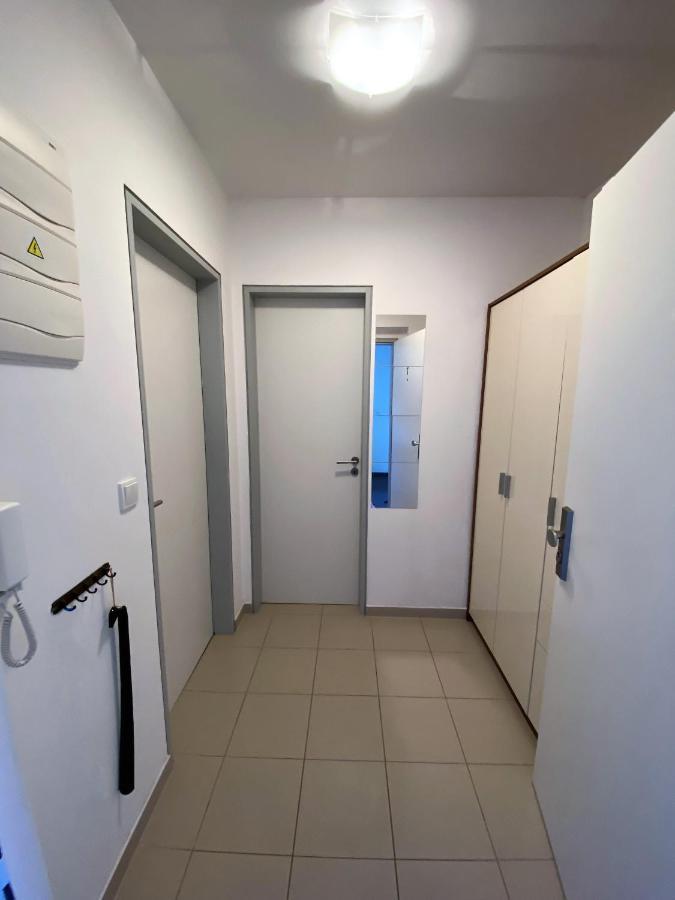 Loučná pod Klínovcem Miky Apartman Klinovec Meadow מראה חיצוני תמונה