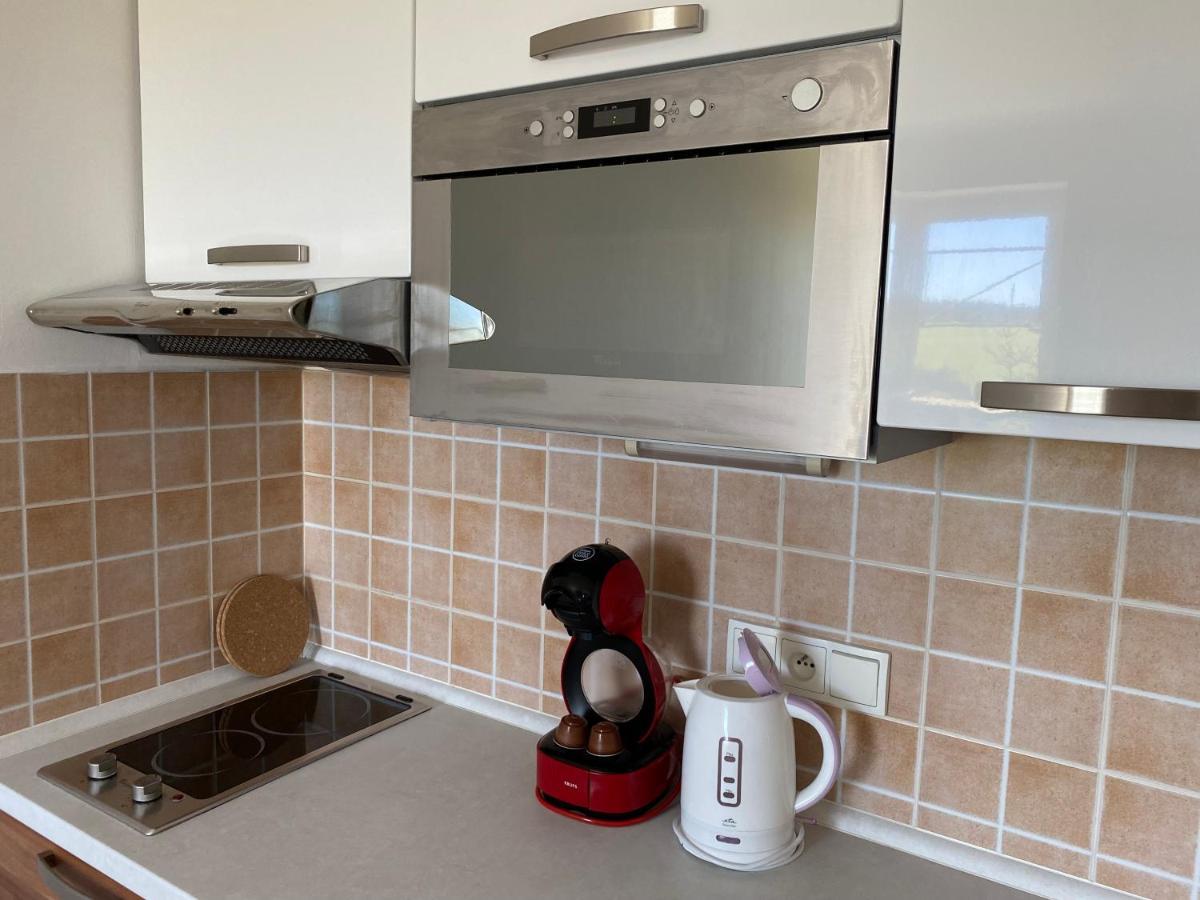 Loučná pod Klínovcem Miky Apartman Klinovec Meadow מראה חיצוני תמונה
