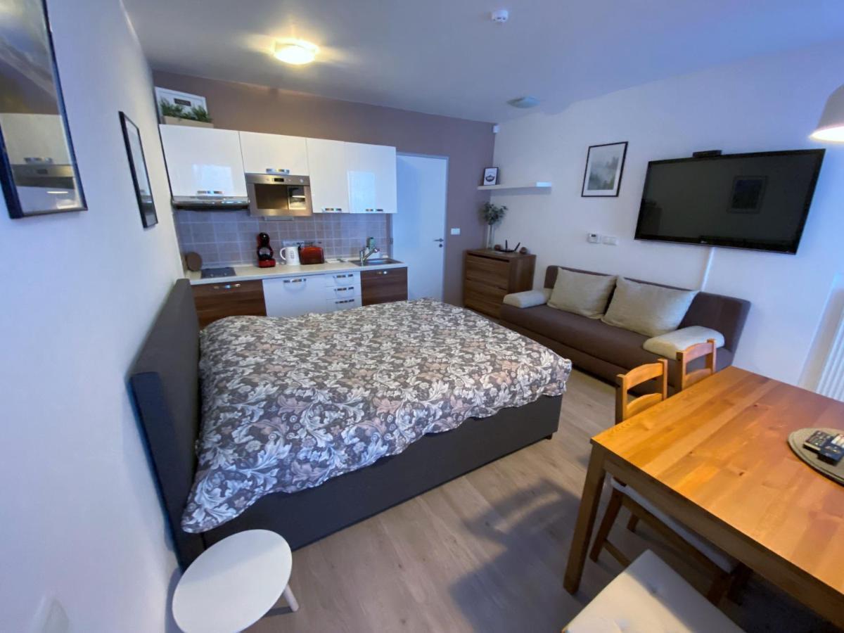 Loučná pod Klínovcem Miky Apartman Klinovec Meadow מראה חיצוני תמונה